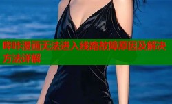 哔咔漫画无法进入线路故障原因及解决方法详解