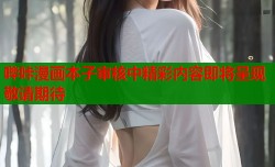 哔咔漫画本子审核中精彩内容即将呈现敬请期待