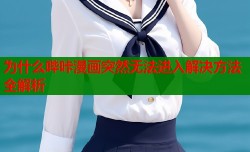 为什么哔咔漫画突然无法进入解决方法全解析