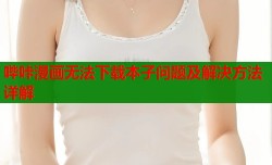 哔咔漫画无法下载本子问题及解决方法详解