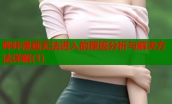 哔咔漫画无法进入的原因分析与解决方法详解(1)