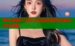 哔咔漫画PC端无法连接的原因及解决方法详解