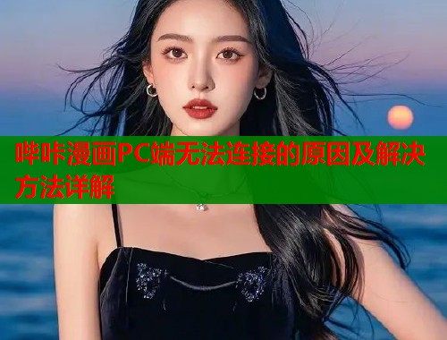 哔咔漫画PC端无法连接的原因及解决方法详解  第1张