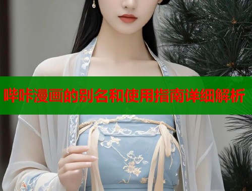 哔咔漫画的别名和使用指南详细解析  第1张