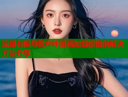 流量有限导致哔咔漫画加载缓慢的解决方法分享  第2张